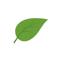 Parts of Plant | Leaf in English