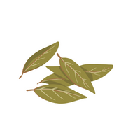 Bay leaf in English 