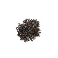 Black mustard seed in English 