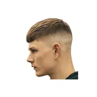 Haircut Names for Men | Crew Cut in English