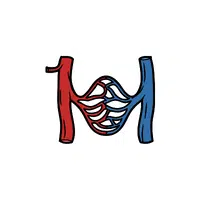 Internal Body Parts Names |Arteries in English