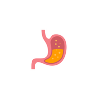 Body Parts Names of Humans |Stomach in English