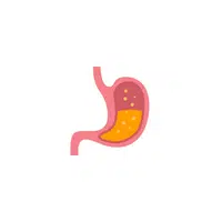 Body Parts Names of Humans |Stomach in English