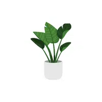 Household Devices and Appliances Names |Plant pots in English