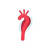 Internal Body Parts Names | Aorta in English