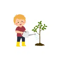 Household Chores Vocabulary words |Water plants in English