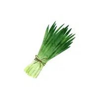 Chives in English