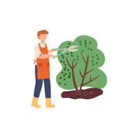 Household Chores Vocabulary words |Prune bushes in English