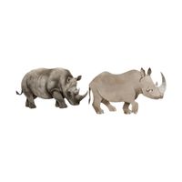 Masculine and Feminine Gender of Animals |Rhinoceros - Cow in English
