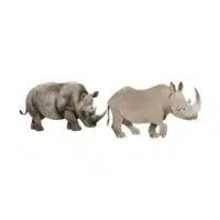 Masculine and Feminine Gender of Animals |Rhinoceros - Cow in English