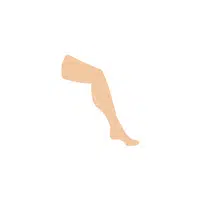 Body Parts Names of Humans |Leg in English