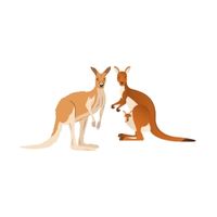 Masculine and Feminine Gender of Animals | Kangaroo - Flyer in English
