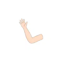 Body Parts Names of Humans |Arm in English