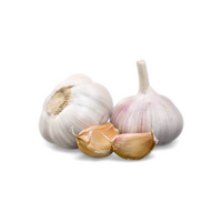 Garlic in English