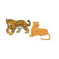 Masculine and Feminine Gender of Animals | Jaguar - Jaguar in English