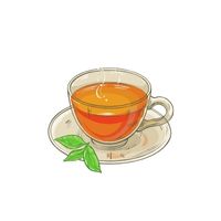 Herbal Tea in English