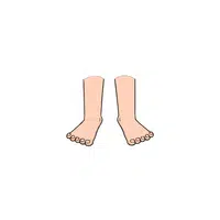 Body Parts Names of Humans |Foot in English