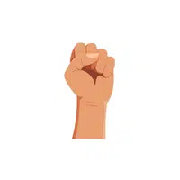 Hand Gestures meaning | Fist in palm in English