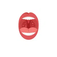 Internal Body Parts Names | Tonsils in English