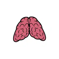 Thymus gland in English