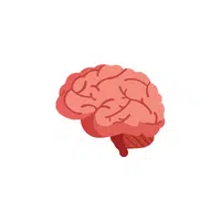 Body Parts Names of Humans | Brain in English