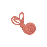 Cochlea in English