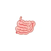 Intestines in English