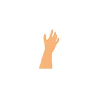 Hand in English