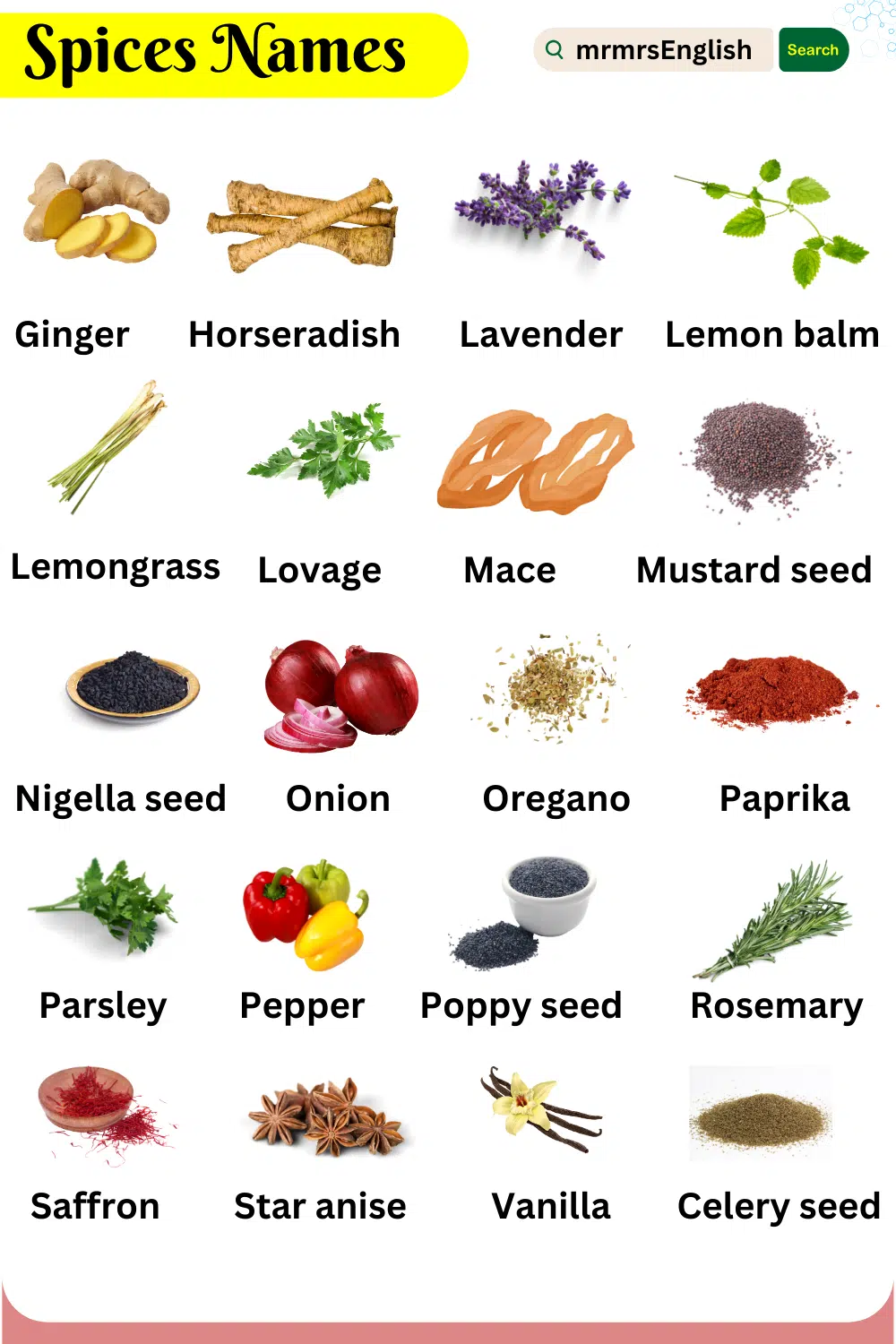 Spices Names in English