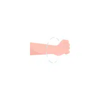 Wrist in English