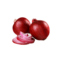 Onion in English