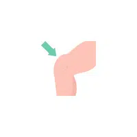 Knee in English