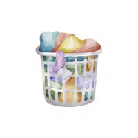 Household Chores Vocabulary words |Laundry in English