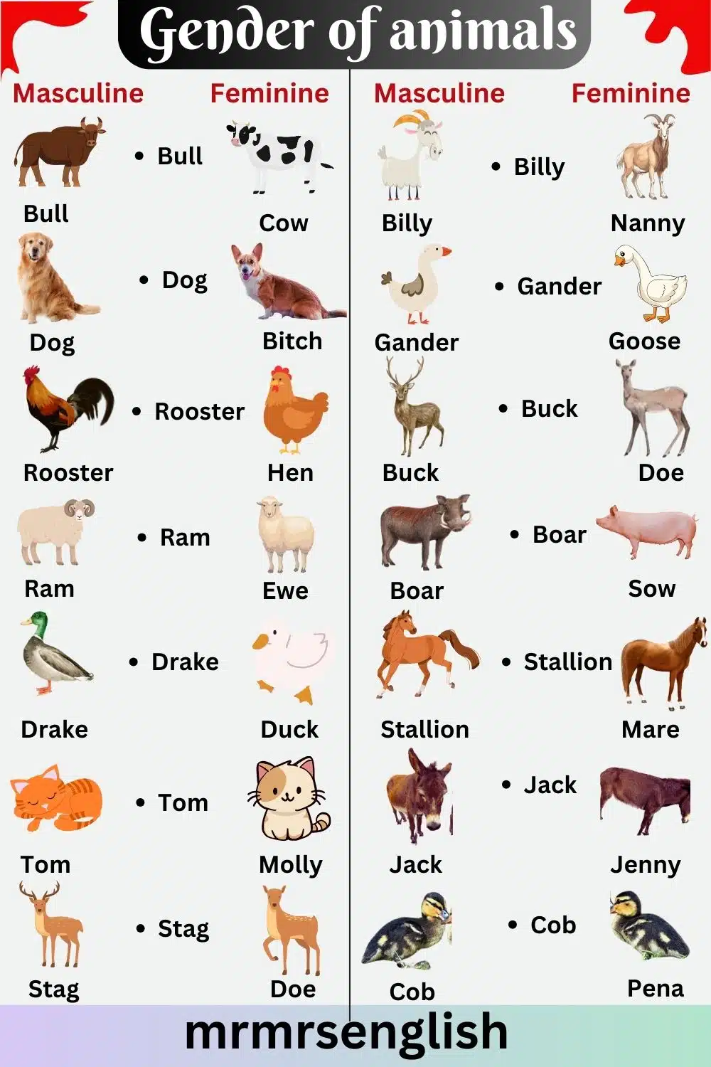 Masculine and Feminine Gender of Animals in English