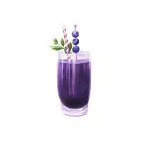 Blueberry Bliss in English