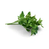 Parsley in English