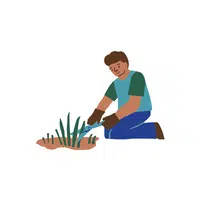 Household Chores Vocabulary words |Weed garden in English