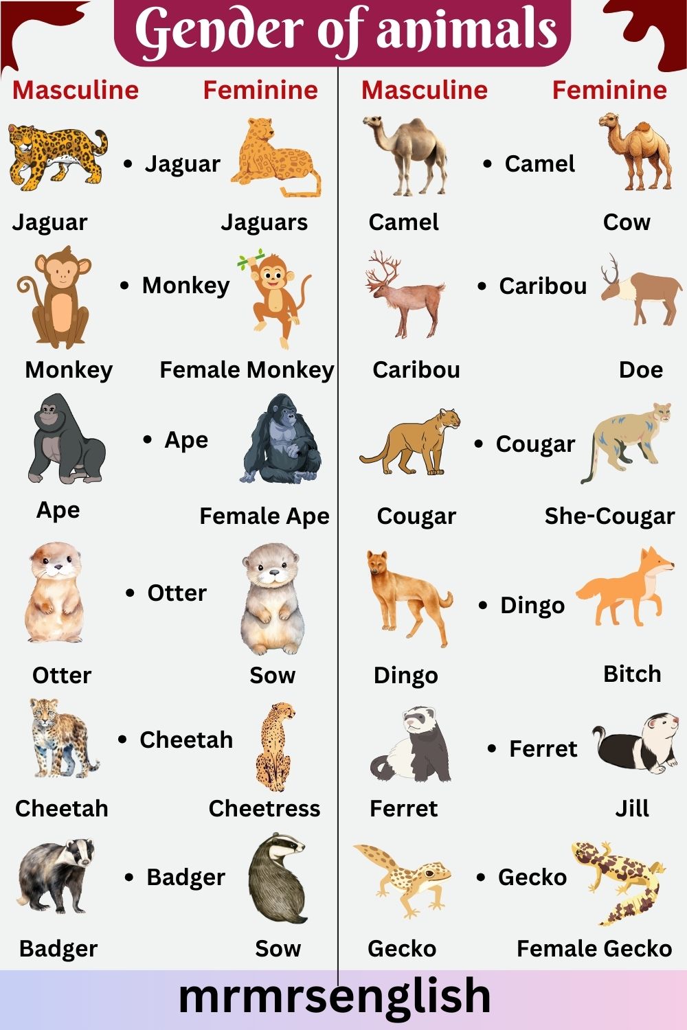 Masculine and Feminine Gender of Animals in English