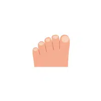 Toe in English