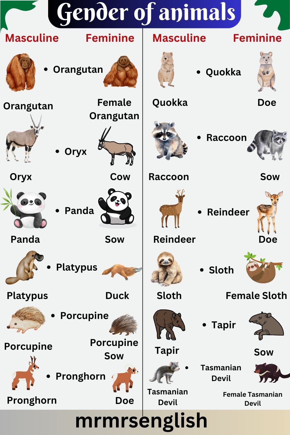 Masculine and Feminine Gender of Animals in English