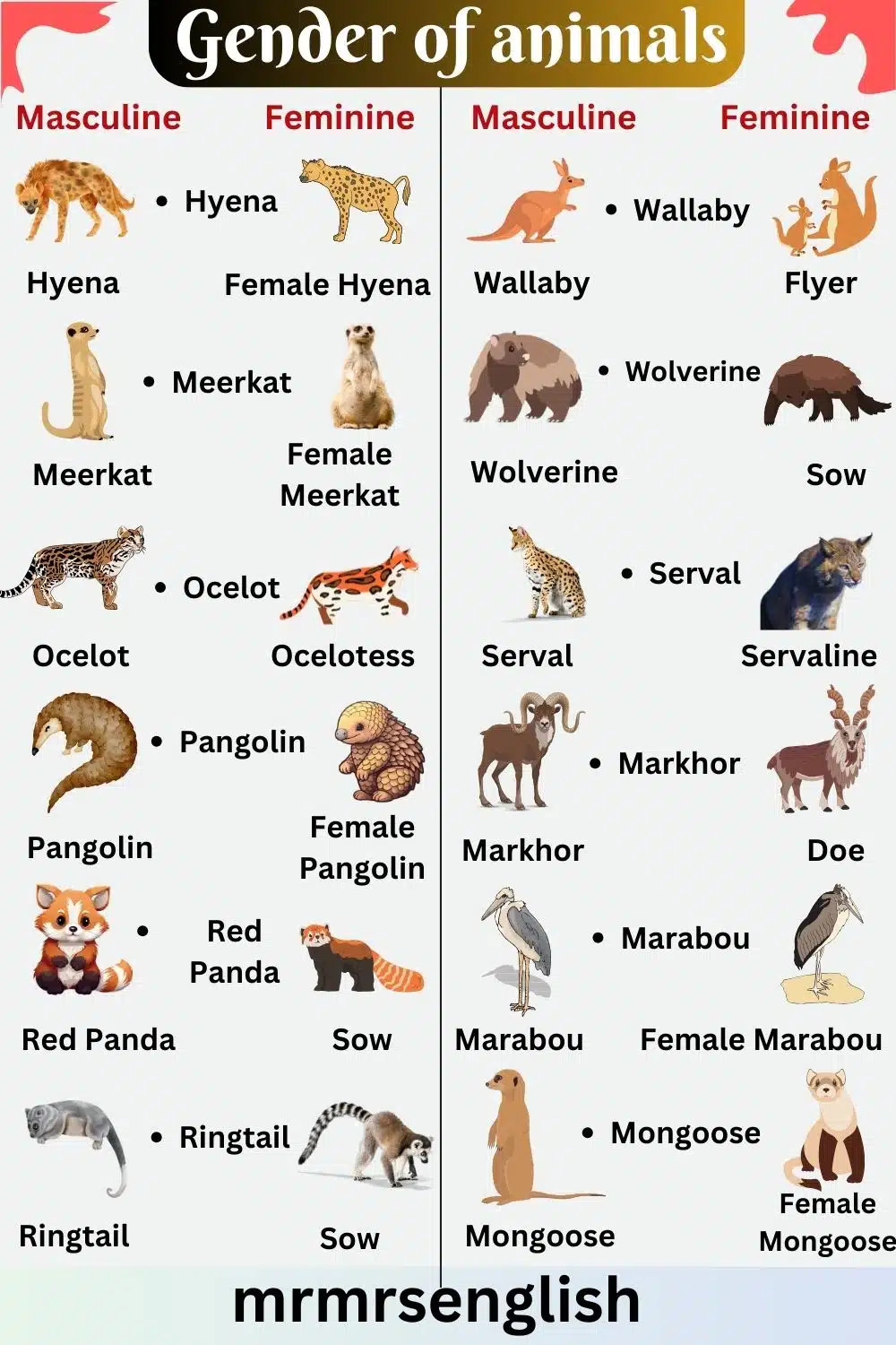Masculine and Feminine Gender of Animals in English