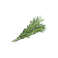 Spices Names |Rosemary in English 