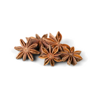 Spices Names |Star anise in English 
