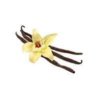 Spices Names |Vanilla in English 