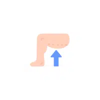 Body Parts Names of Humans |Thigh in English