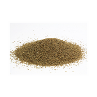 Spices Names |Celery seed in English 