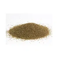 Spices Names |Celery seed in English 
