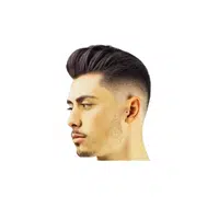 Disconnected Pompadour in English