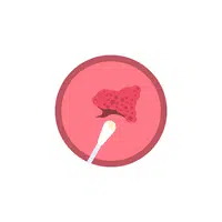 Internal Body Parts Names |Cervix in English