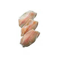 fish Fillet in English